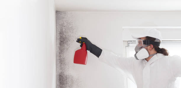 Best Mold Testing  in Union, OR